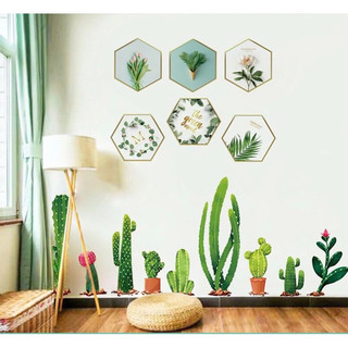 Decal dán tường khung ảnh và hàng xương rồng