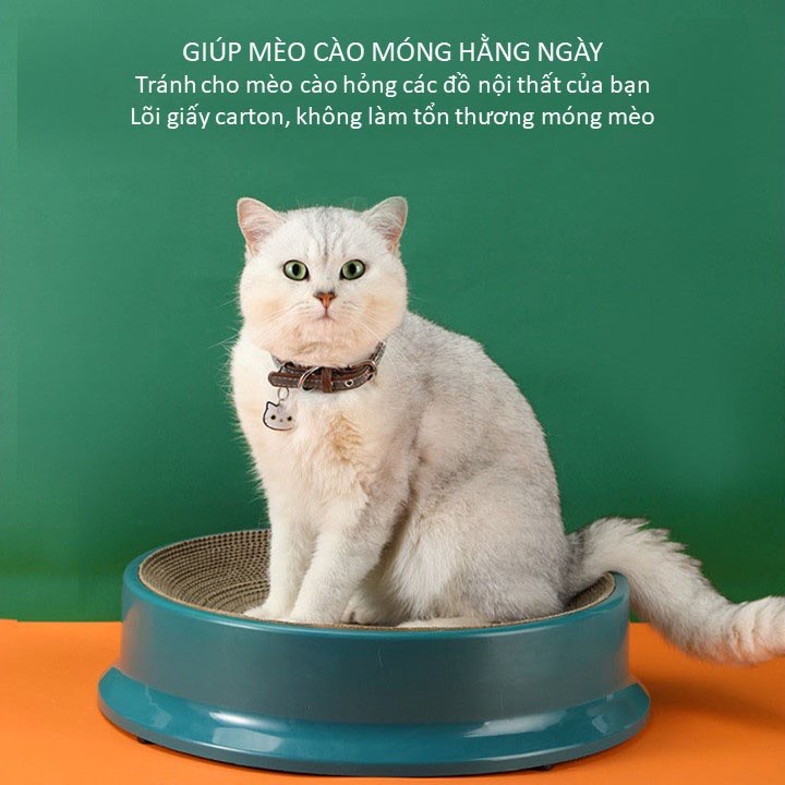 Bàn Cào Móng Size Lớn Nhựa Cao Cấp Chống Trầy Xước Kèm Catnip Cho Mèo