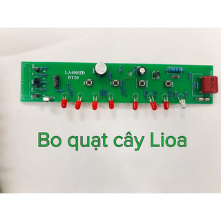 Bo quạt cây Lioa