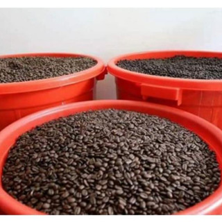 Cà phê hạt rang mộc nguyên chất 100%  Robusta BMT