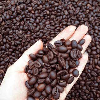 Cà phê hạt rang mộc Robusta