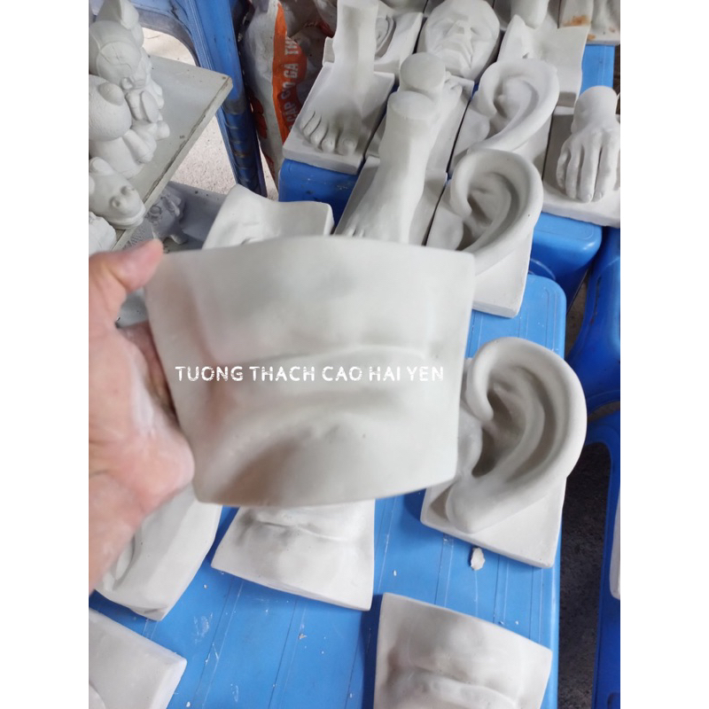 Khối Thạch Cao Hình Môi