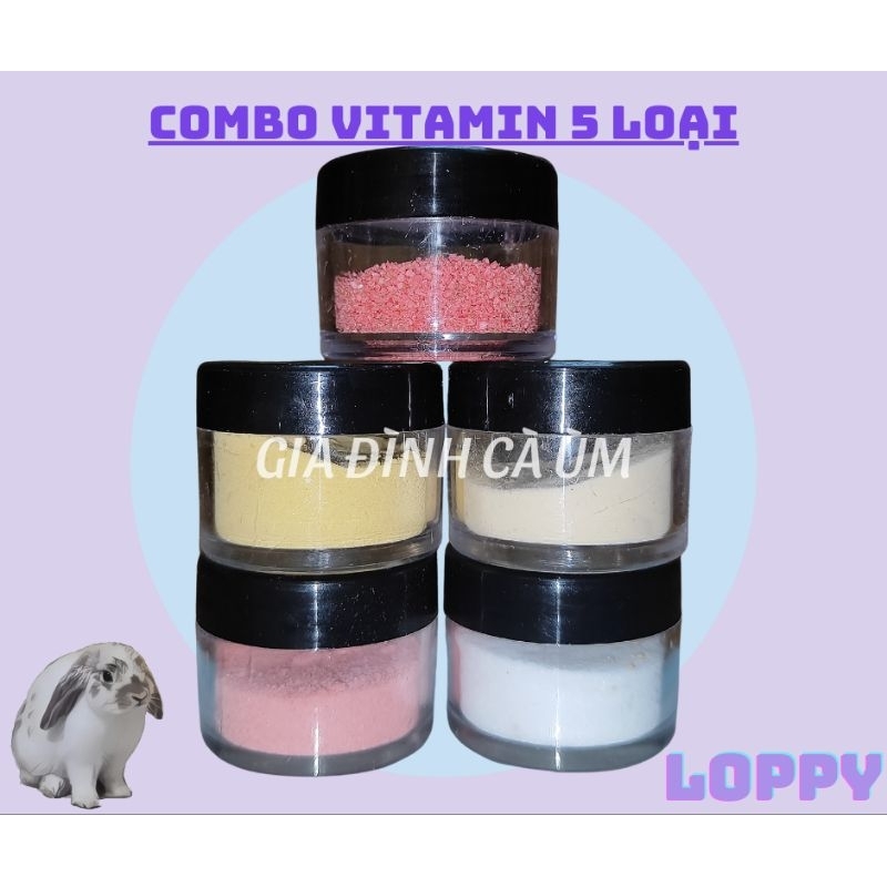 Combo Vitamin dinh dưỡng tăng cường sức đề kháng dành cho thỏ