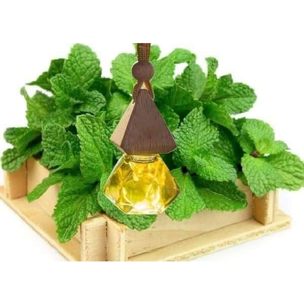 Tinh dầu treo xe Linh Anh Car nhiều mùi thơm dễ chịu