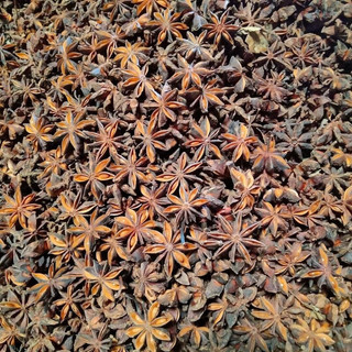 hoa hồi khô