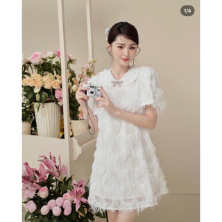 ĐẦM LÔNG CỔ SEN