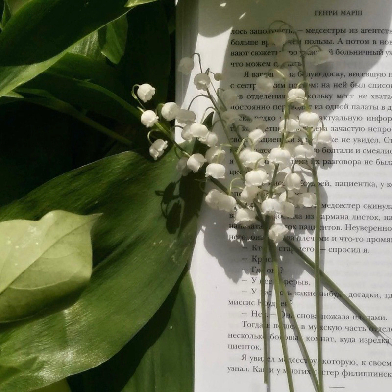 Kiềng Tay Hoa Linh Lan Chuẩn Bạc S925-Blackmeo