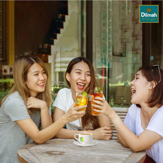 Trà Dilmah Vị Bạc Hà - Mint 30g