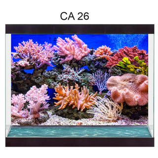 Tranh bể cá 3d, tranh decal dán hồ cá, tranh hồ thủy sinh 3d