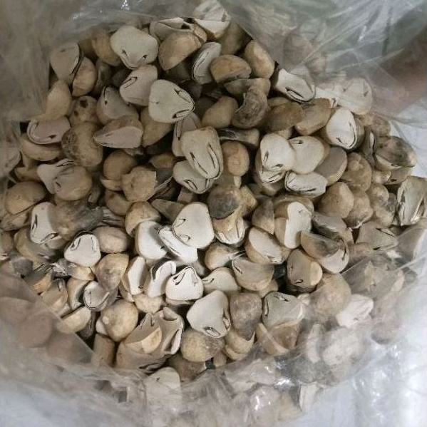 Nấm Rơm Sấy Thăng Hoa 100g Cao Cấp Loại Chẻ Đôi