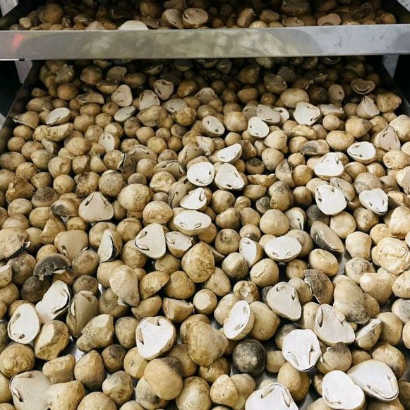 Nấm Rơm Sấy Thăng Hoa 100g Cao Cấp Loại Chẻ Đôi