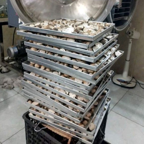 Nấm Rơm Sấy Thăng Hoa 100g Cao Cấp Loại Chẻ Đôi