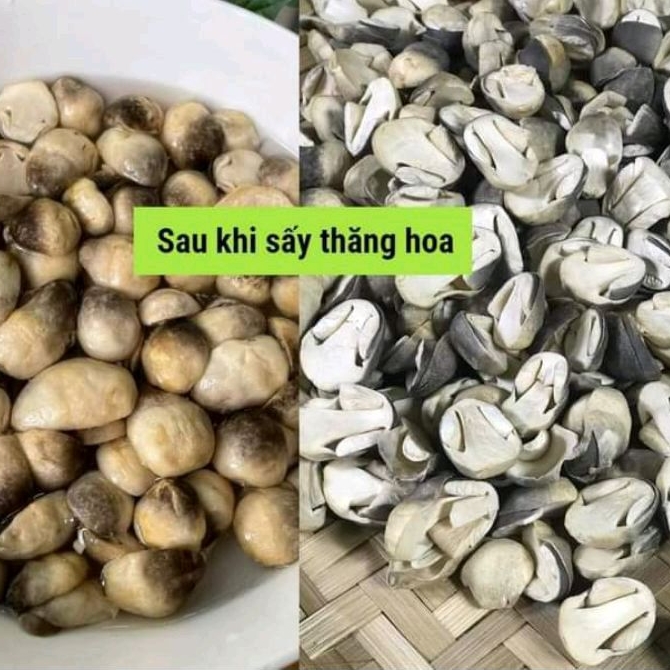 Nấm Rơm Búp Chẻ Đôi Sấy Thăng Hoa 250g