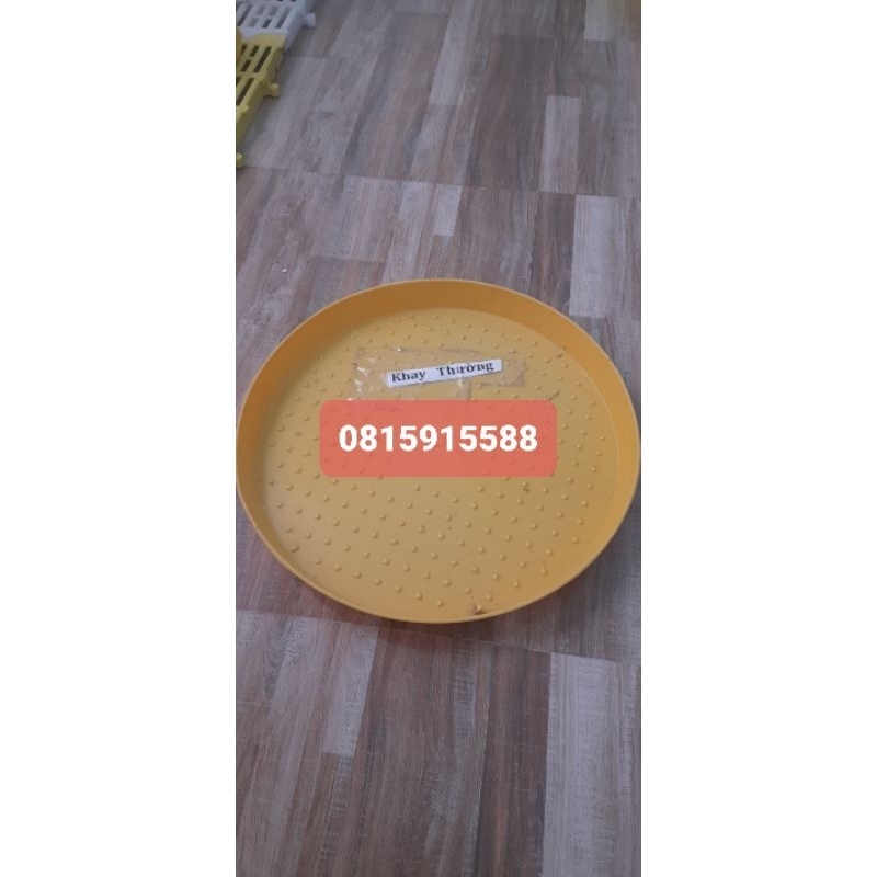 Khay mẹt tập ăn cho gà con .