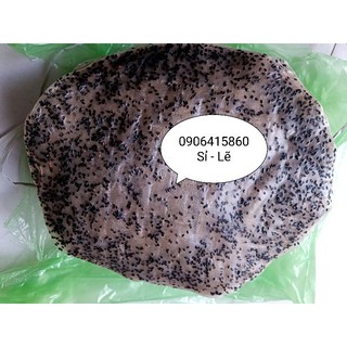 Combo 50 ràng bánh tráng mè đen nướng bình định