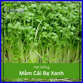 Hạt giống rau mầm cải bẹ xanh