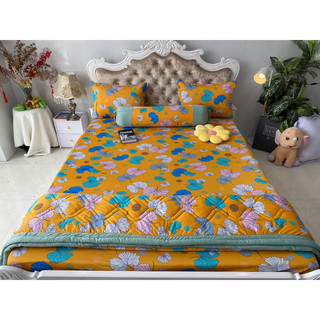 Bộ drap thun hàn quốc 4 món mát mịn,chất thun co giãn 4 chiều