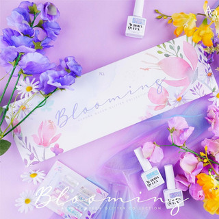 Sơn gel Aurora Queen set Blooming kèm bảng màu