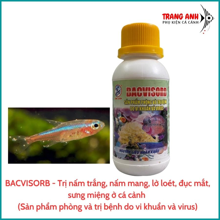 Thuốc trị nấm cá cảnh Bacvisorb - Thuốc trị nấm trắng, nấm mang, đục mắt, sưng miệng, lở loét ở cá cảnh