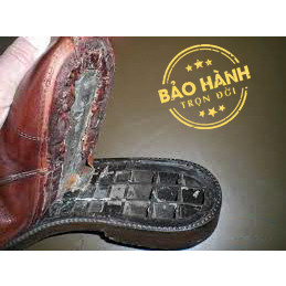 Gói bảo hành trọn đời về keo dán