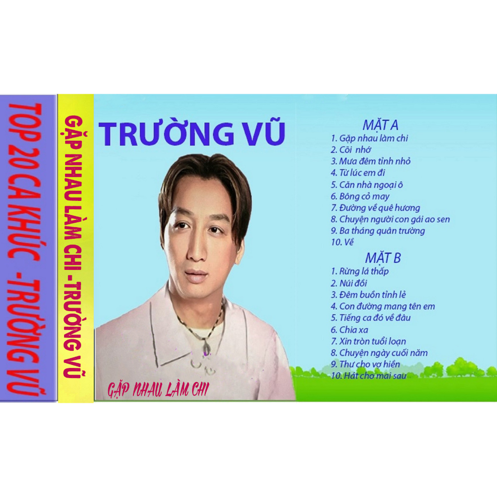 BĂNG CASSETTE TRƯỜNG VŨ
