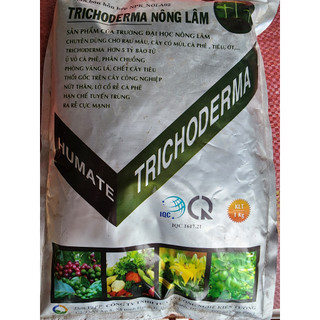 Phân Trichoderma Nông Lâm