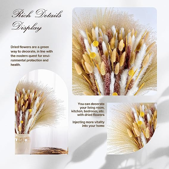 Hoa khô vintage: Lau pamspas, Sậy, Cỏ đuôi thỏ, Cúc nút áo