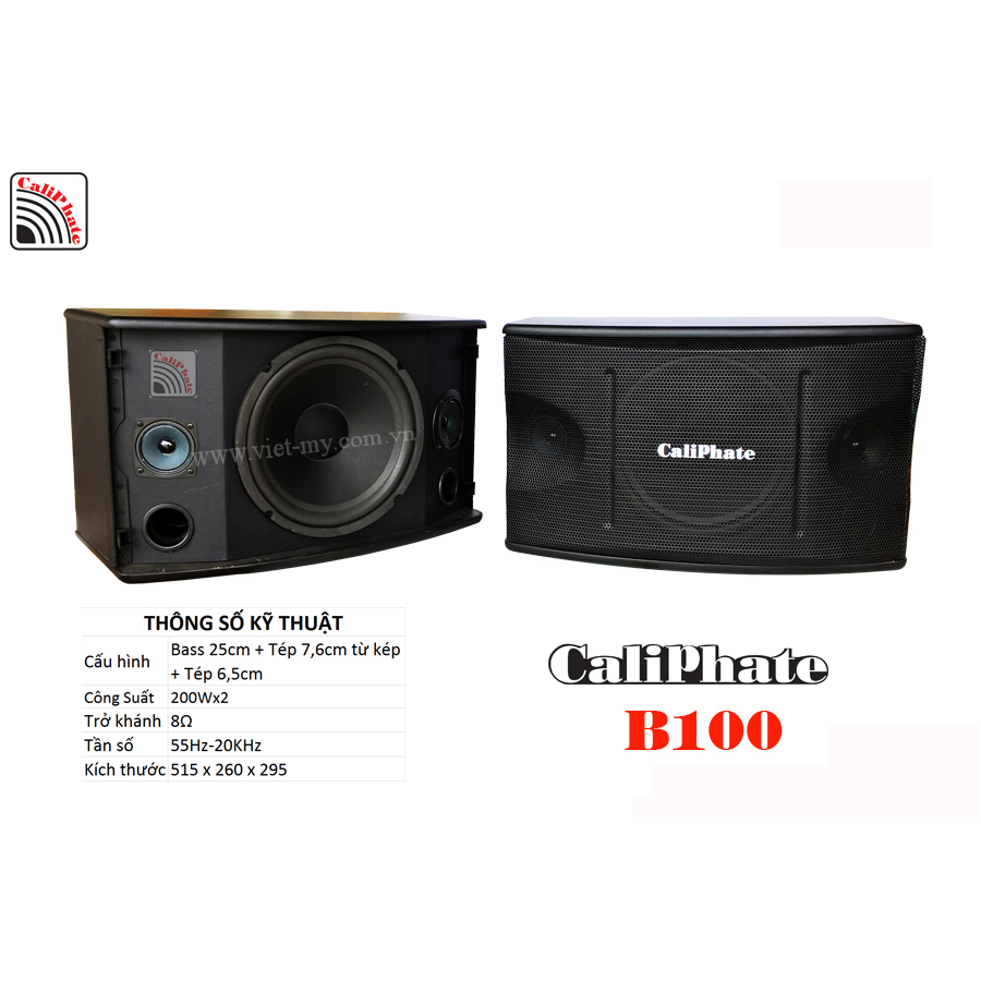 B80 - Loa treo tường karaoke CaliPhate bass 20 1 đôi