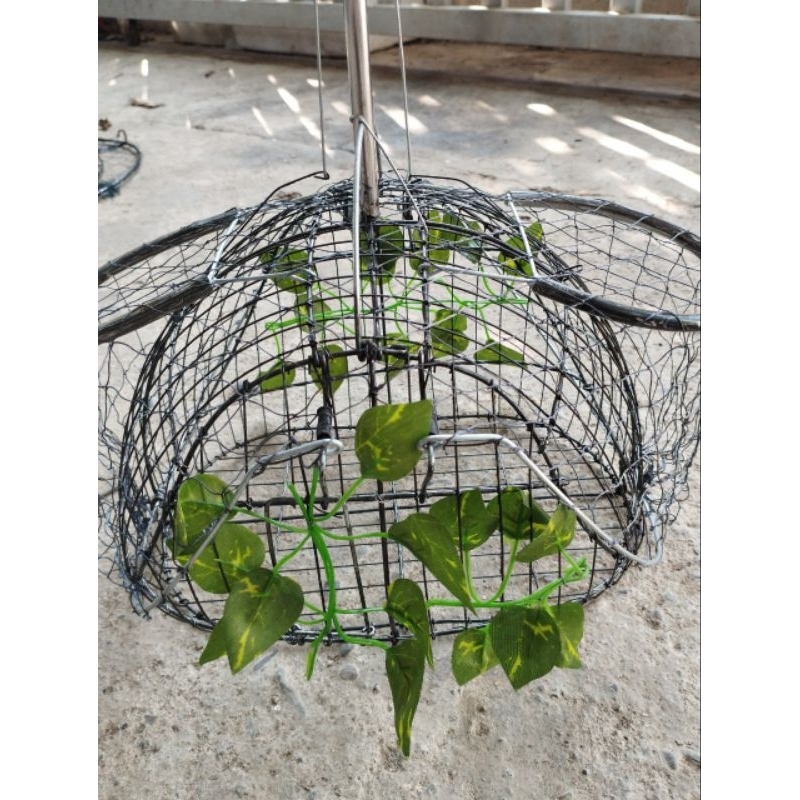 Lồng bẫy chim chào mào thái hàng siêu nhạy giá cực rẻ