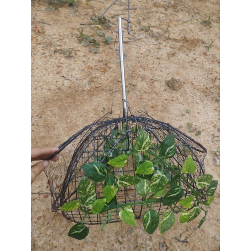 Lồng bẫy chim chào mào thái hàng siêu nhạy giá cực rẻ