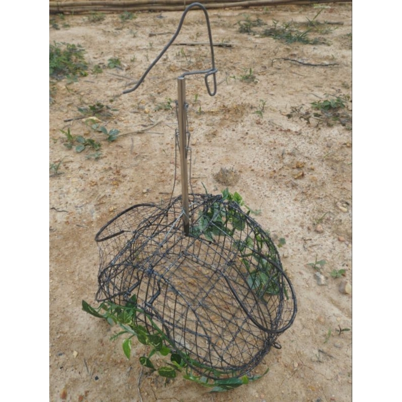 Lồng bẫy chim chào mào thái hàng siêu nhạy giá cực rẻ