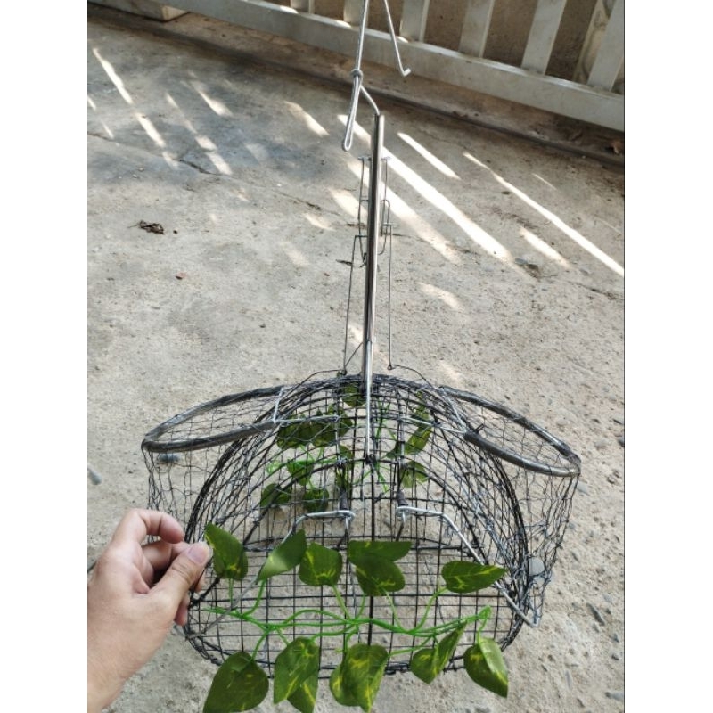 Lồng bẫy chim chào mào thái hàng siêu nhạy giá cực rẻ