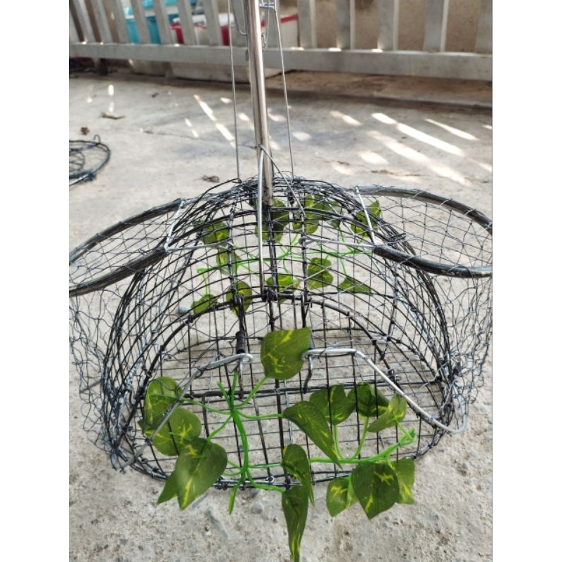 Lồng bẫy chim chào mào thái hàng siêu nhạy giá cực rẻ