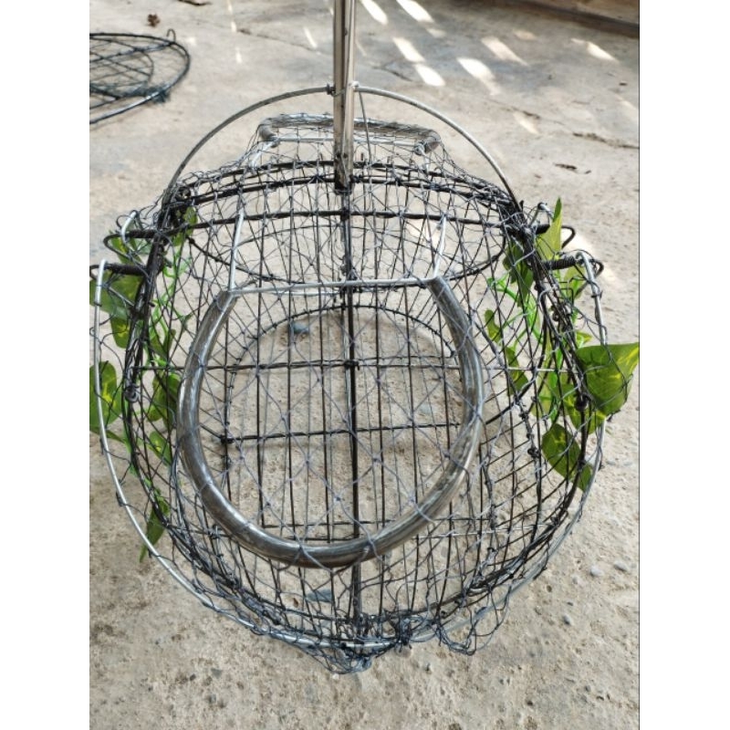 Lồng bẫy chim chào mào thái hàng siêu nhạy giá cực rẻ