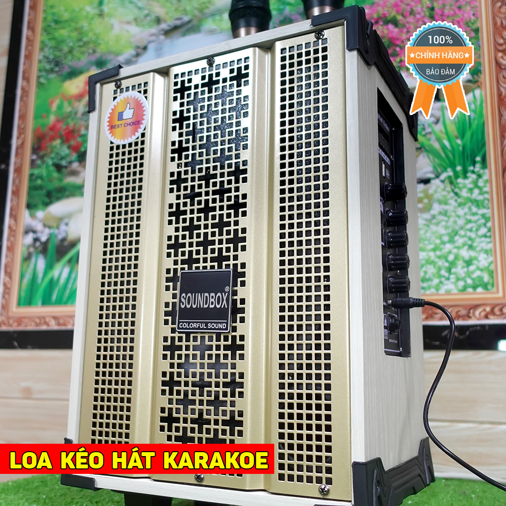 Loa hát karaoke mini 2 mic không dây âm thanh chuẩn