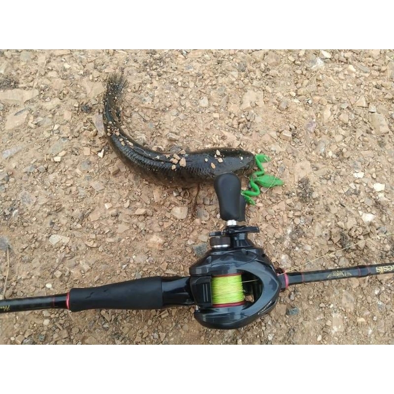 Mồi câu GOLLUM FROG 5cm 5.9gr Từ DOLPHIN LURE THAILAND