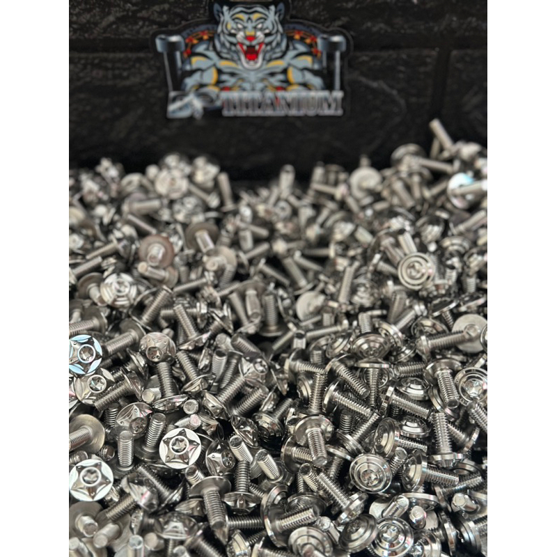 Ốc Salaya 4 5 6 8 Dù : Mẫu Ngôi Sao , Mẫu Thái V2