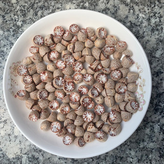 Hạt cau khô nhà làm - gói 1 kg