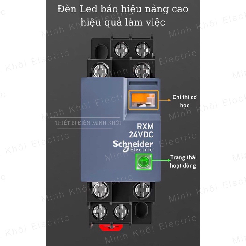 Rơ Le Trung Gian Schneider Kèm Đế 8 chân và 14 chân RXM4LB2P7, Relay Schneider 220V,24V,12V