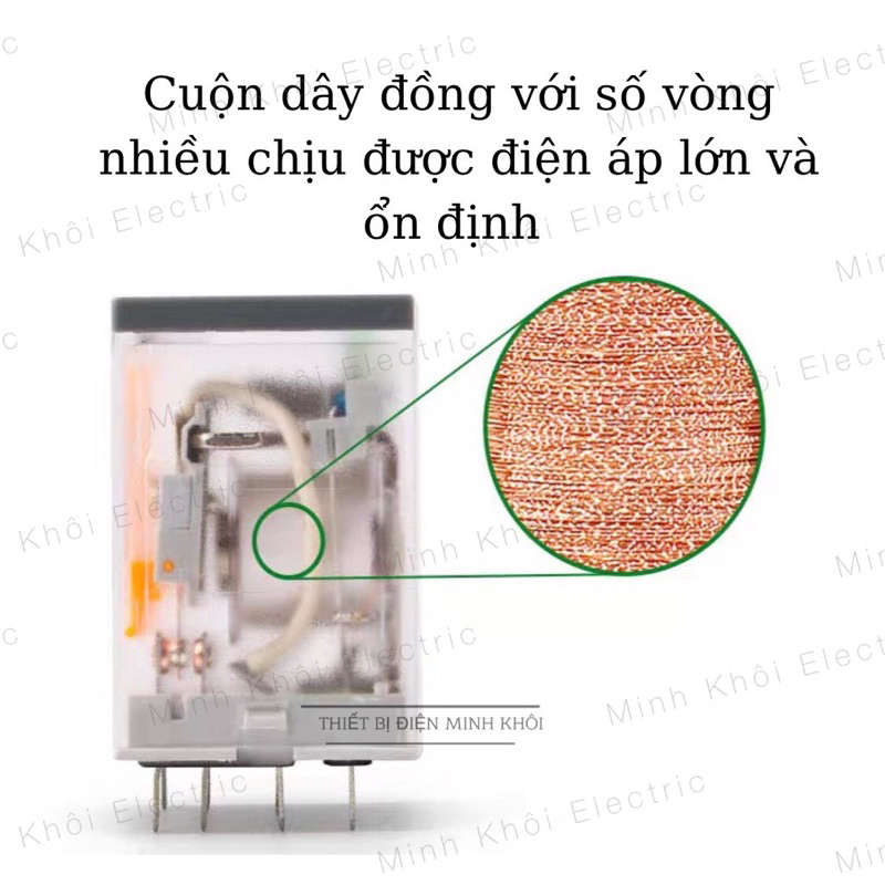 Rơ Le Trung Gian Schneider Kèm Đế 8 chân và 14 chân RXM4LB2P7, Relay Schneider 220V,24V,12V