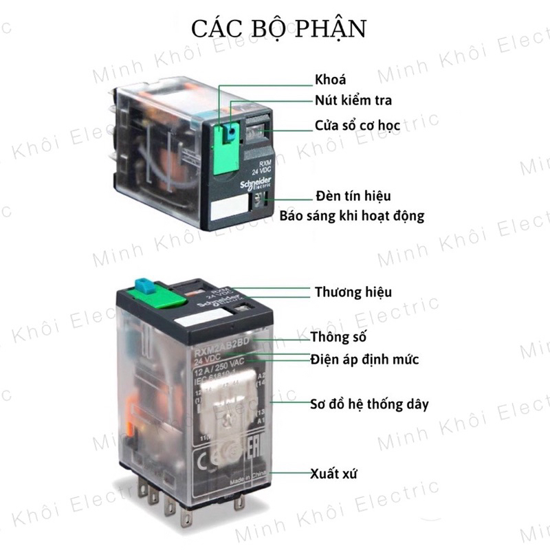 Rơ Le Trung Gian Schneider Kèm Đế 8 chân và 14 chân RXM4LB2P7, Relay Schneider 220V,24V,12V