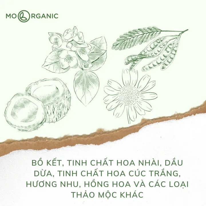 Combo gội xả bồ kết hoa nhài Mơ Organic kháng khuẩn, giảm gàu, rụng tóc