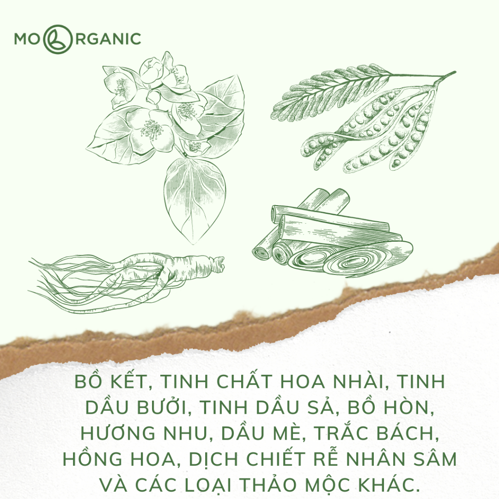 Combo gội xả bồ kết hoa nhài Mơ Organic kháng khuẩn, giảm gàu, rụng tóc