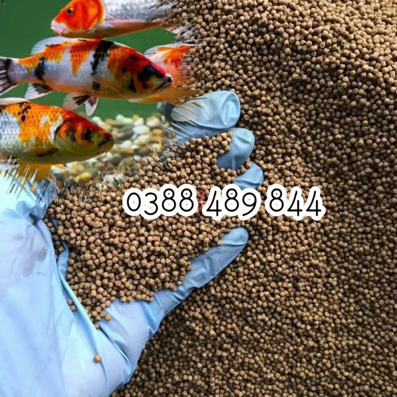 Cám cá HAID FEED CH930 30 đạm Chép, Trắm và Mồi câu