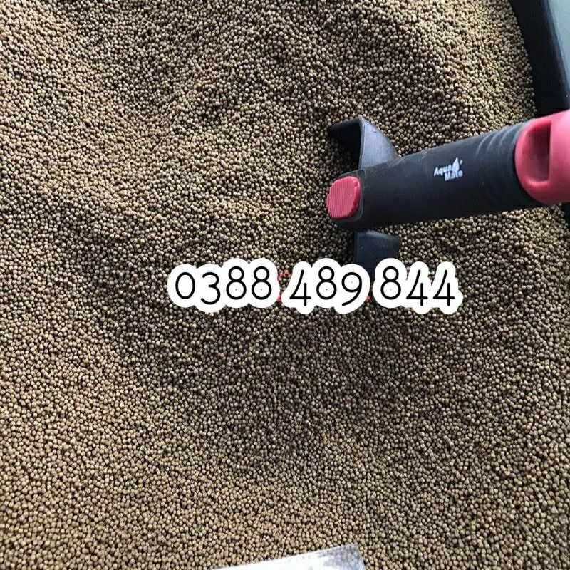 Cám cá HAID FEED CH930 30 đạm Chép, Trắm và Mồi câu