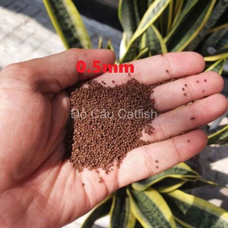 Cám cá HAID FEED CH930 30 đạm Chép, Trắm và Mồi câu