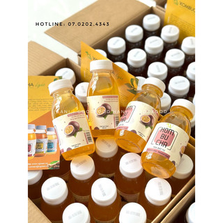 Light kombucha 250ml vị trái cây