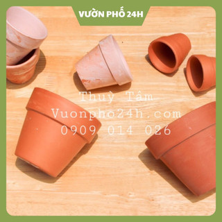 Chậu đất nung đỏ trồng sen đá, xương rồng, cây cảnh
