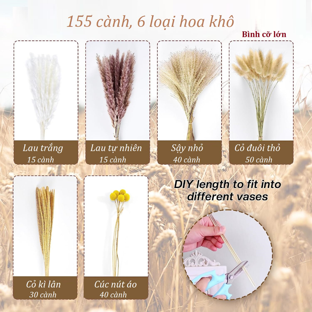 Hoa khô vintage: Lau pamspas, Sậy, Cỏ đuôi thỏ, Cúc nút áo