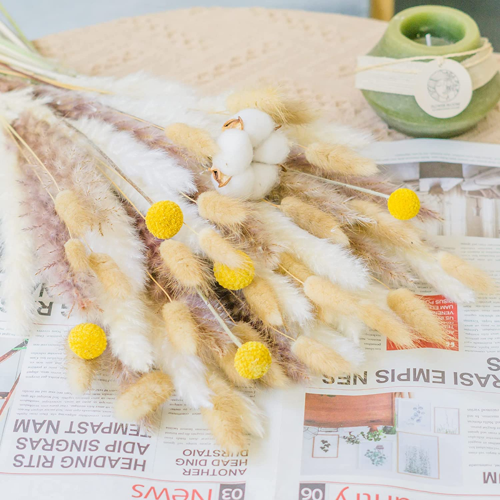 Hoa khô vintage: Lau pamspas, Sậy, Cỏ đuôi thỏ, Cúc nút áo